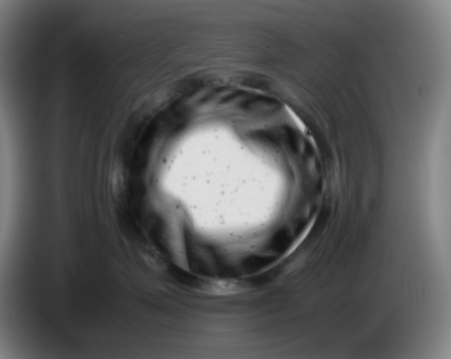 X0000085210623200703301643