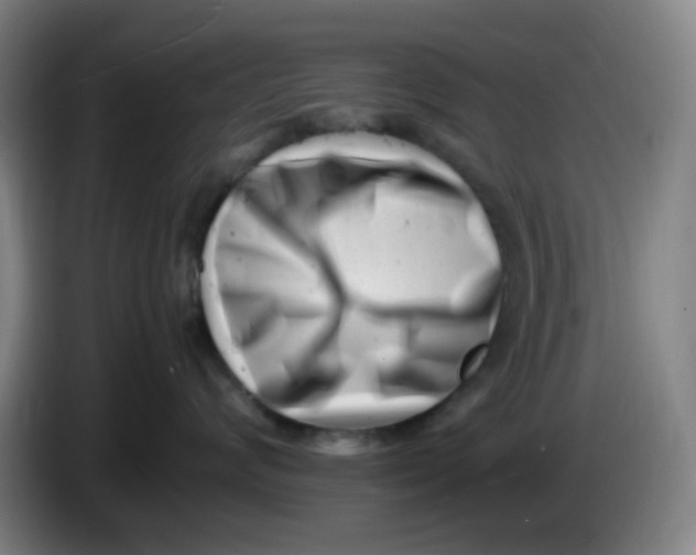 X0000085210624200703301643