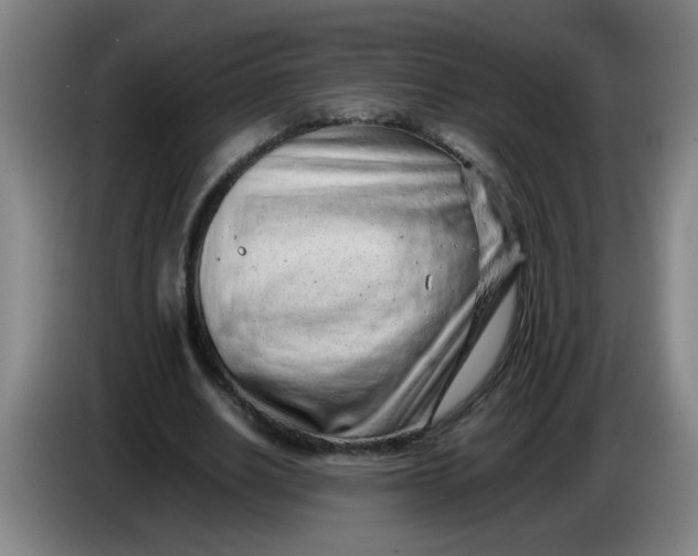 X0000085210630200703301642