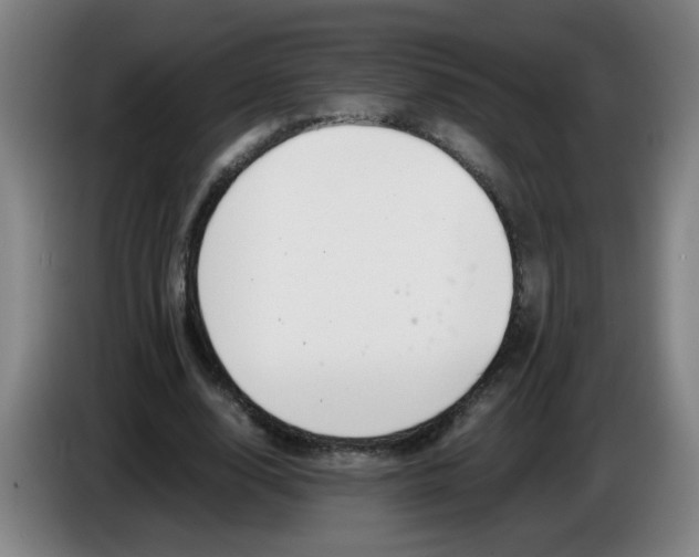 X0000085210632200703301642