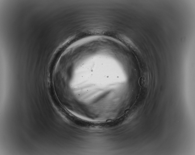 X0000085210634200703301642