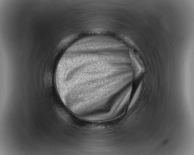 X0000085210640200703301642