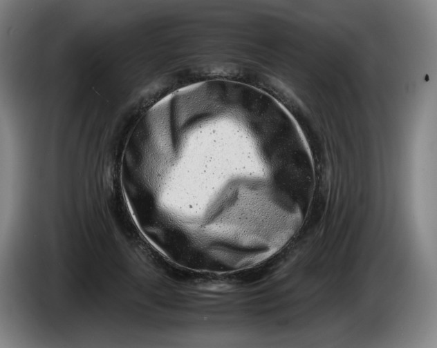 X0000085210643200703301642