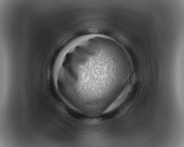 X0000085210646200703301642