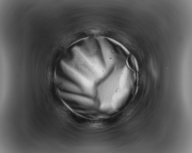 X0000085210651200703301643