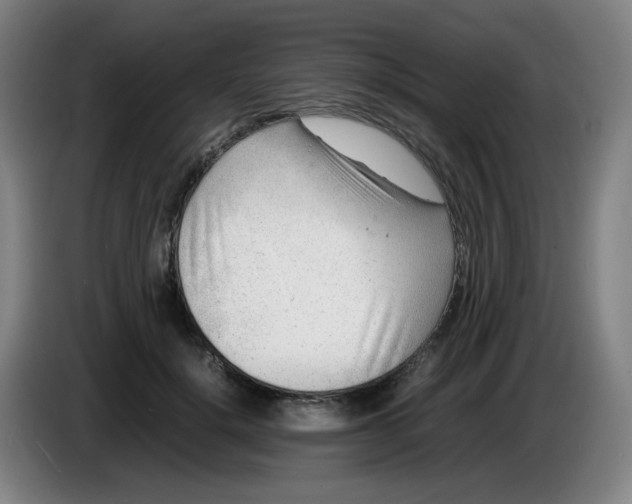 X0000085210652200703301643