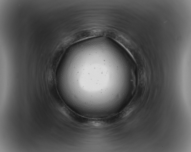 X0000085210654200703301643