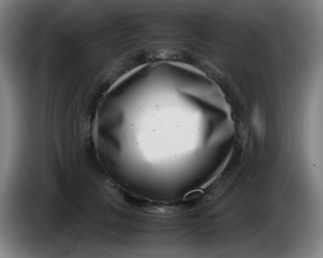 X0000085210657200703301643