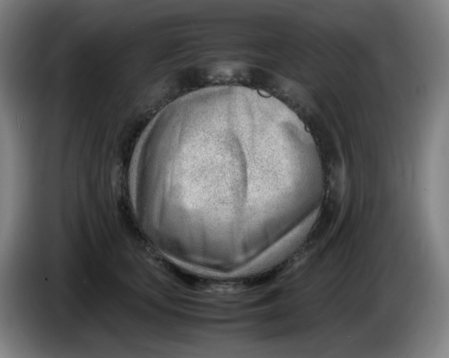 X0000085210659200703301643