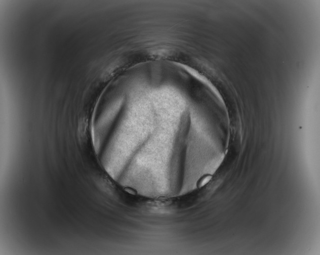 X0000085210660200703301643