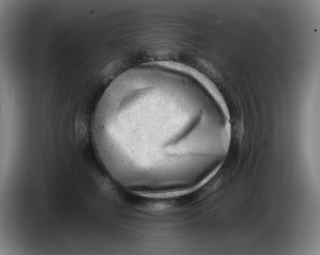 X0000085210662200703301643