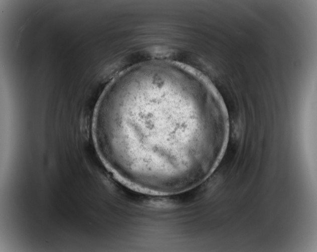 X0000085210666200703301643