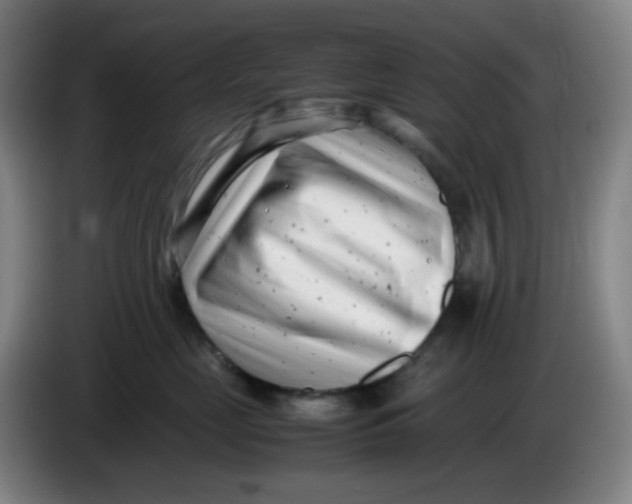 X0000085210669200703301643