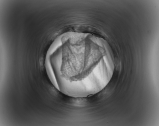 X0000085210670200703301643