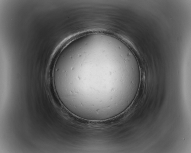 X0000085210676200703301642