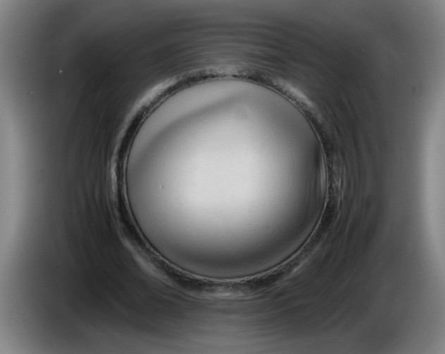 X0000085210678200703301642