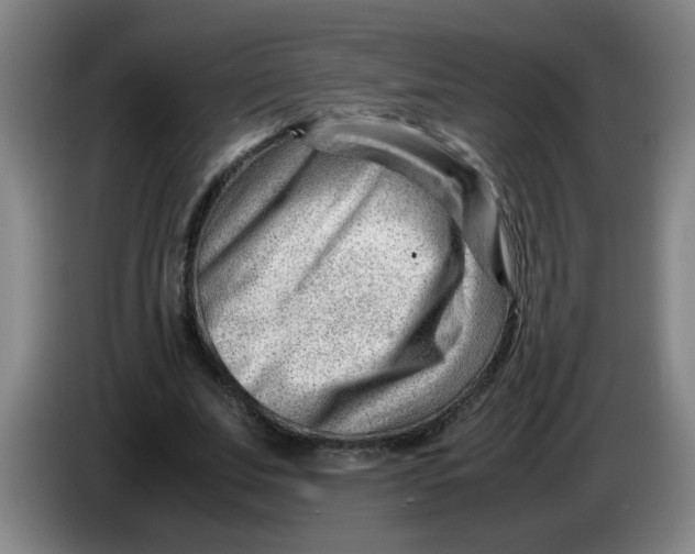 X0000085210679200703301642