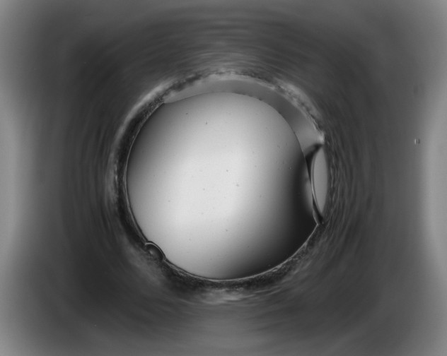 X0000085210680200703301642