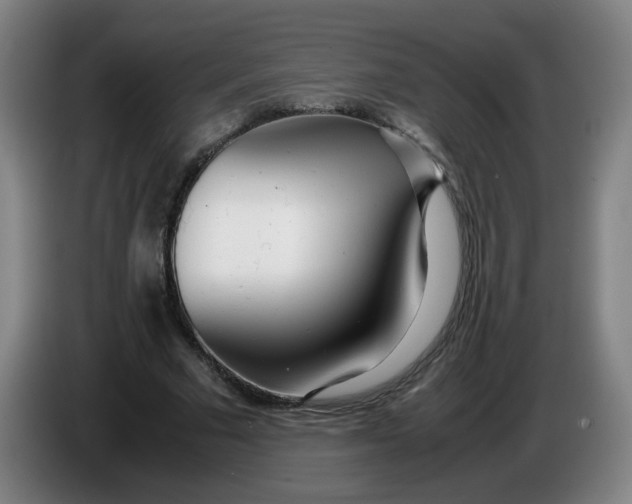 X0000085210681200703301642