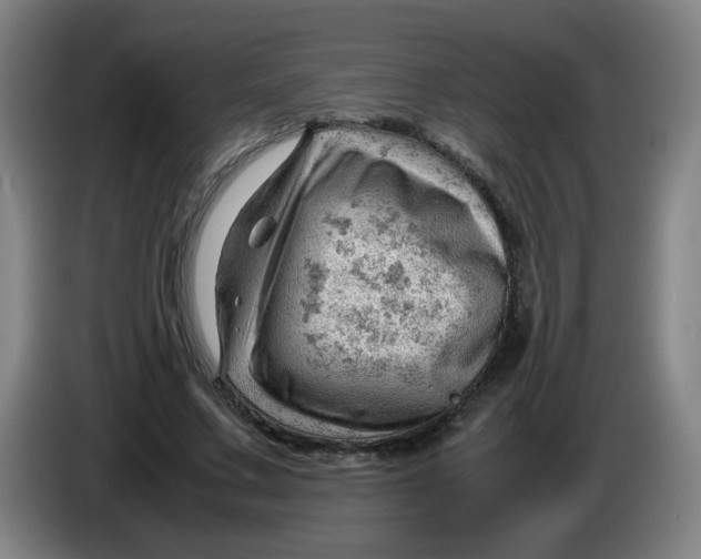 X0000085210683200703301642