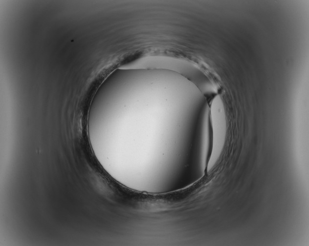 X0000085210685200703301642