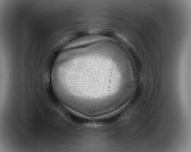 X0000085210691200703301642