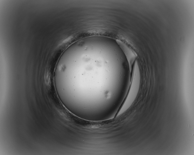 X0000085210692200703301642