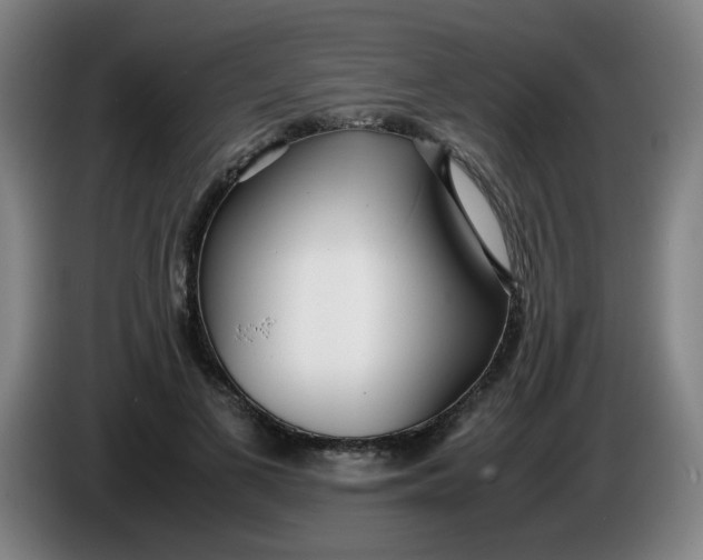 X0000085210693200703301642