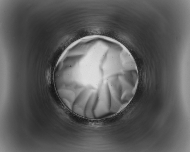 X0000085210694200703301642