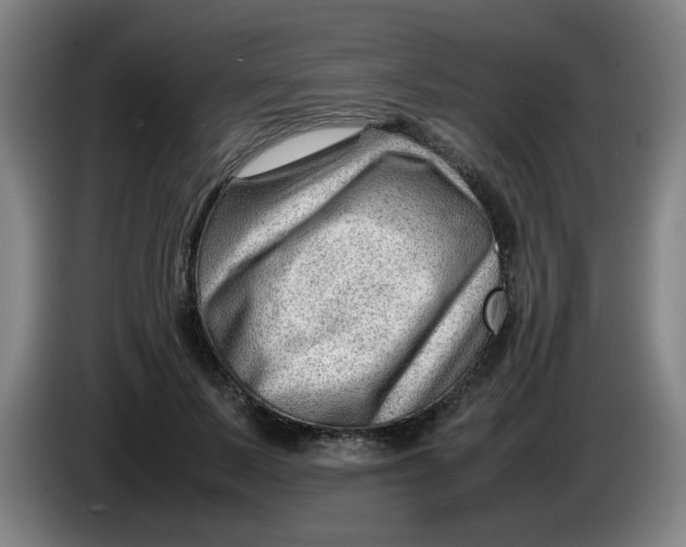 X0000085210695200703301642