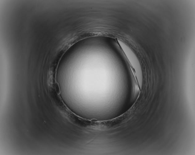 X0000085210696200703301642