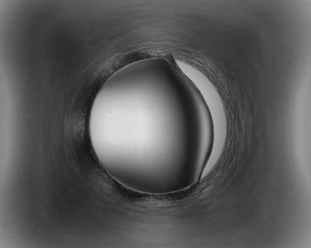 X0000085210697200703301642