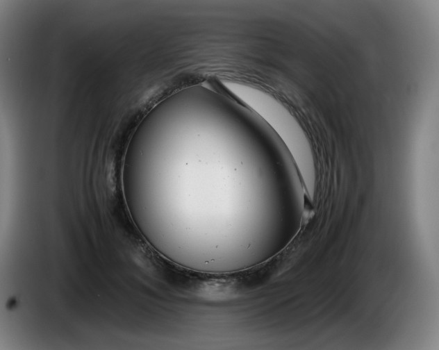 X0000085210700200703301642