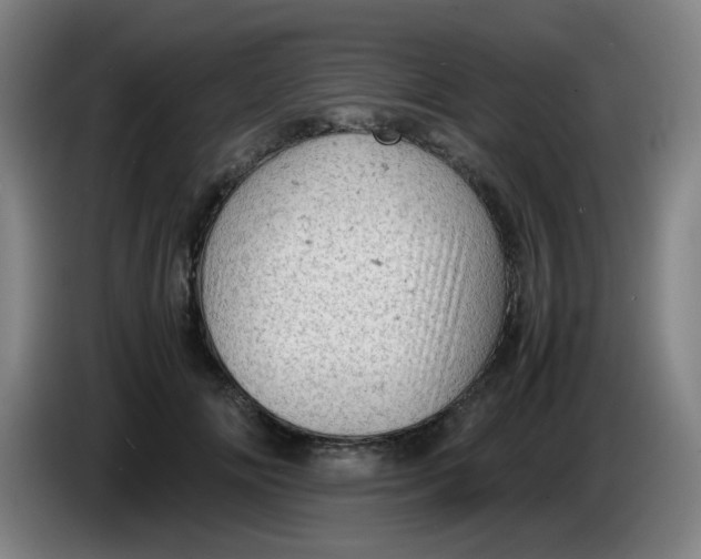 X0000085210702200703301642