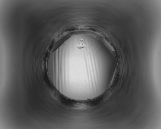 X0000085210704200703301642