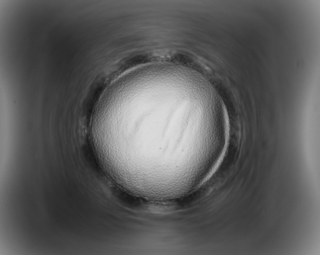 X0000085210707200703301642