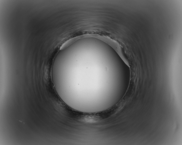 X0000085210708200703301642