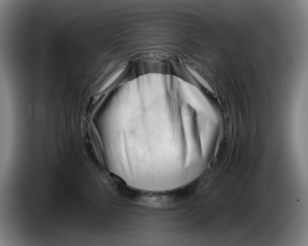 X0000085210712200703301642