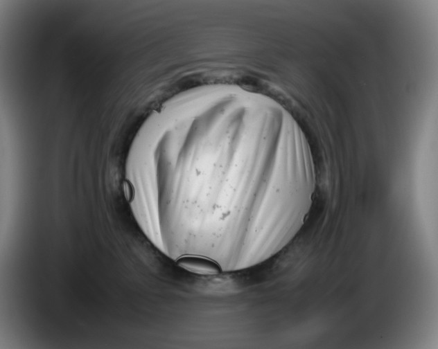 X0000085210715200703301642