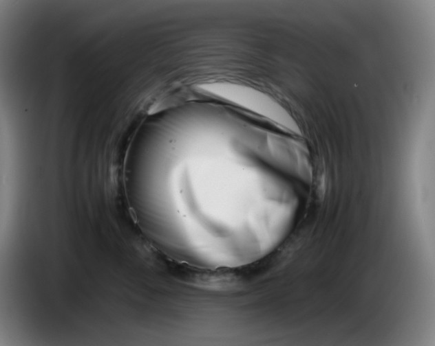 X0000085210716200703301642