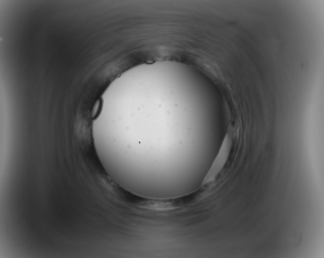 X0000085210719200703301642