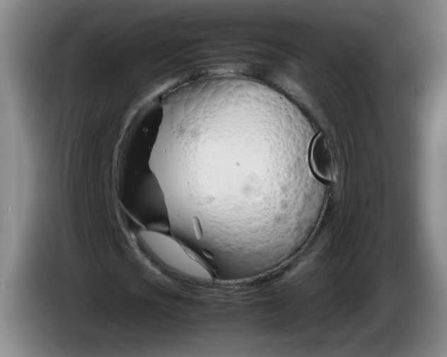 X0000085210721200703301641