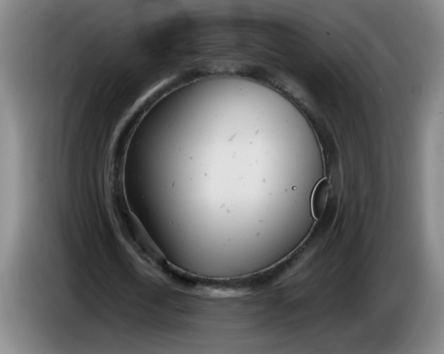 X0000085210722200703301641