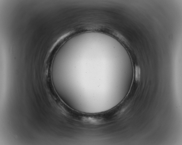 X0000085210723200703301641