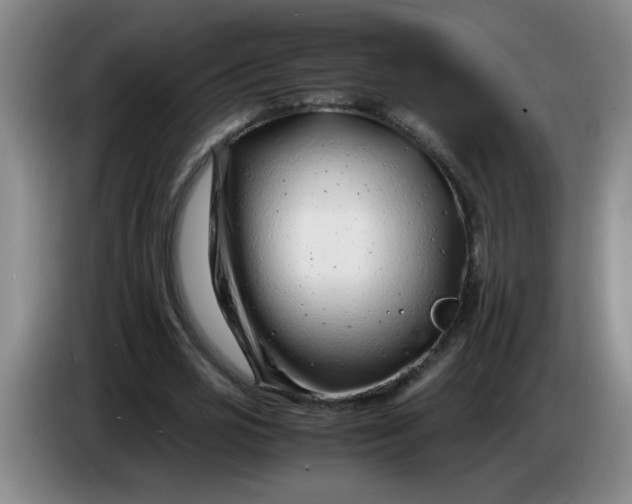 X0000085210725200703301641