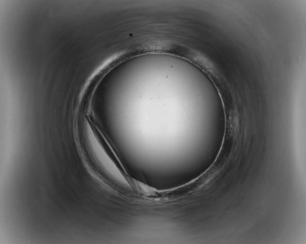 X0000085210726200703301641