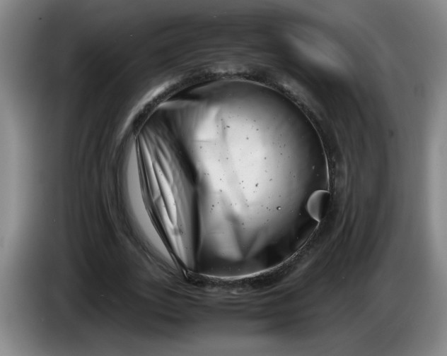 X0000085210727200703301641