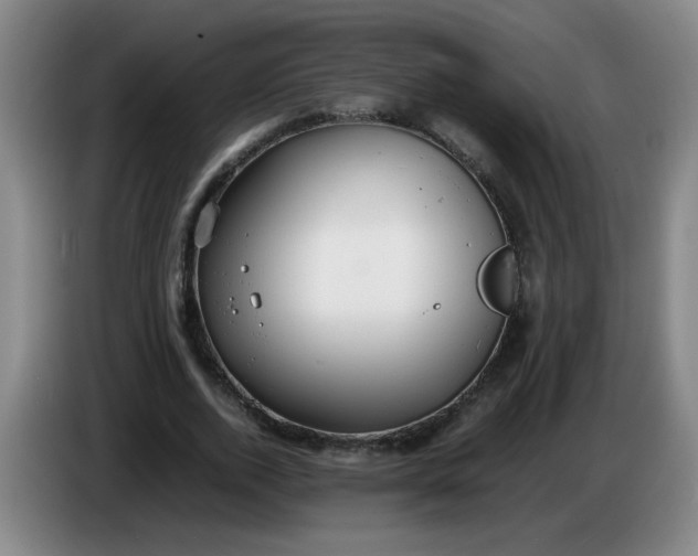 X0000085210728200703301641