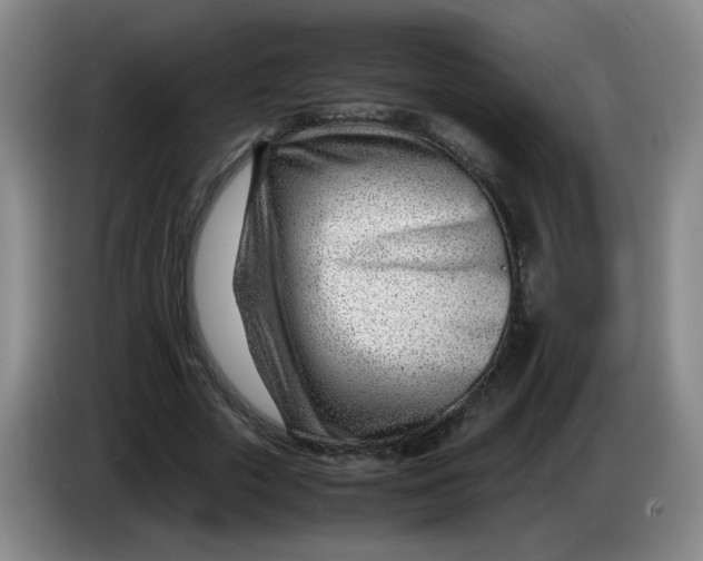 X0000085210729200703301641