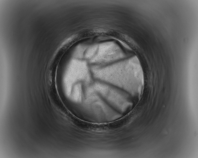 X0000085210731200703301641